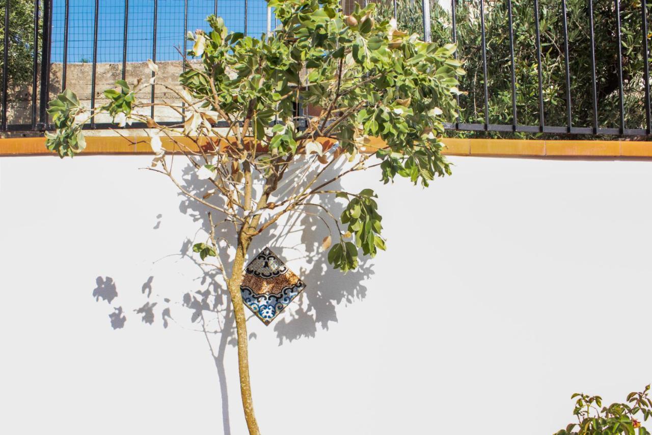 Villa Rosanna شاكا المظهر الخارجي الصورة